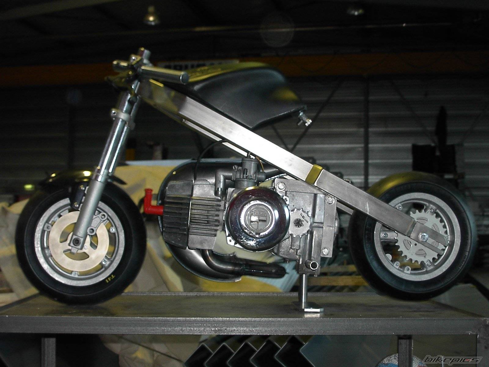 Photo 259766