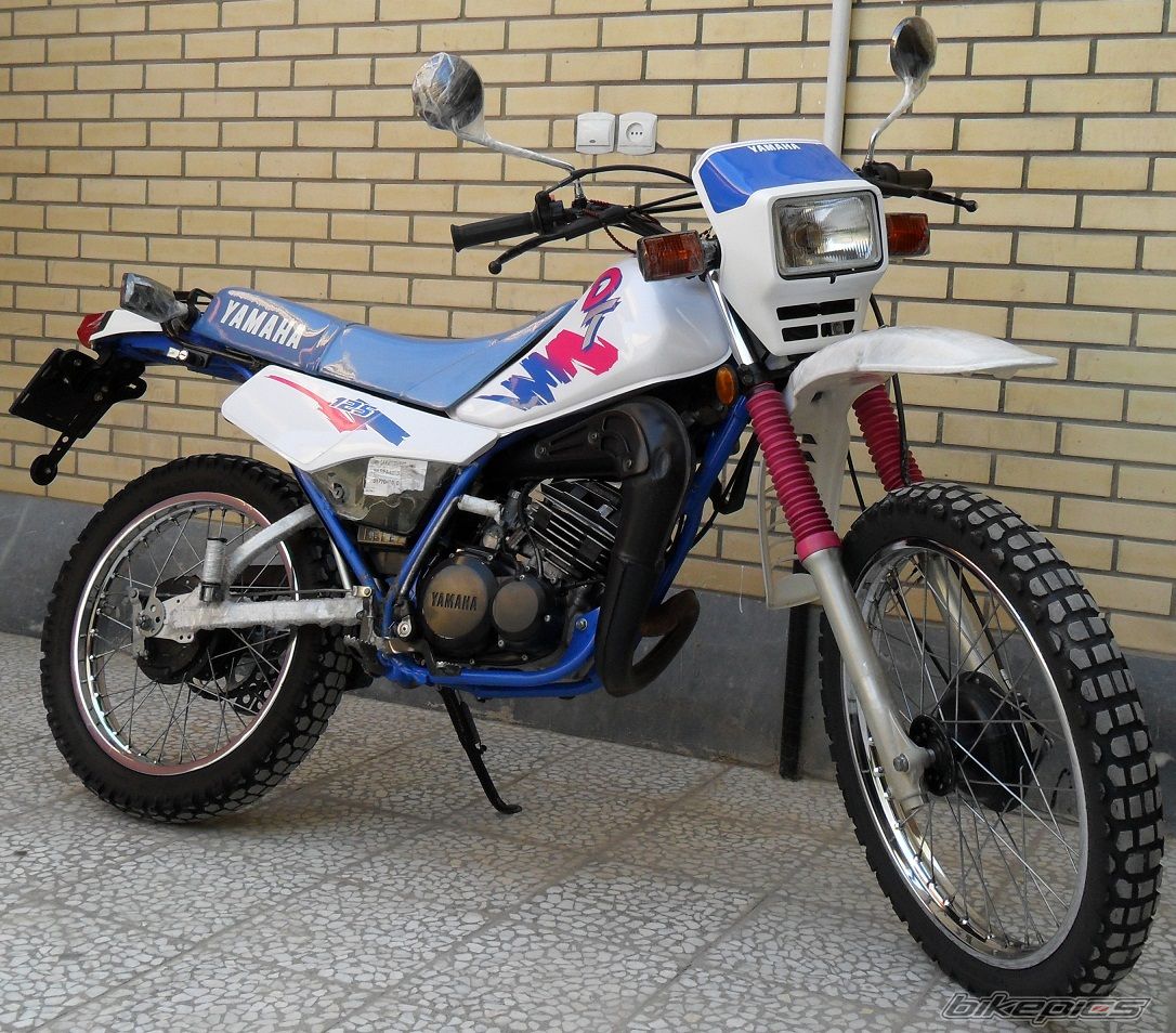 Photo 2597687