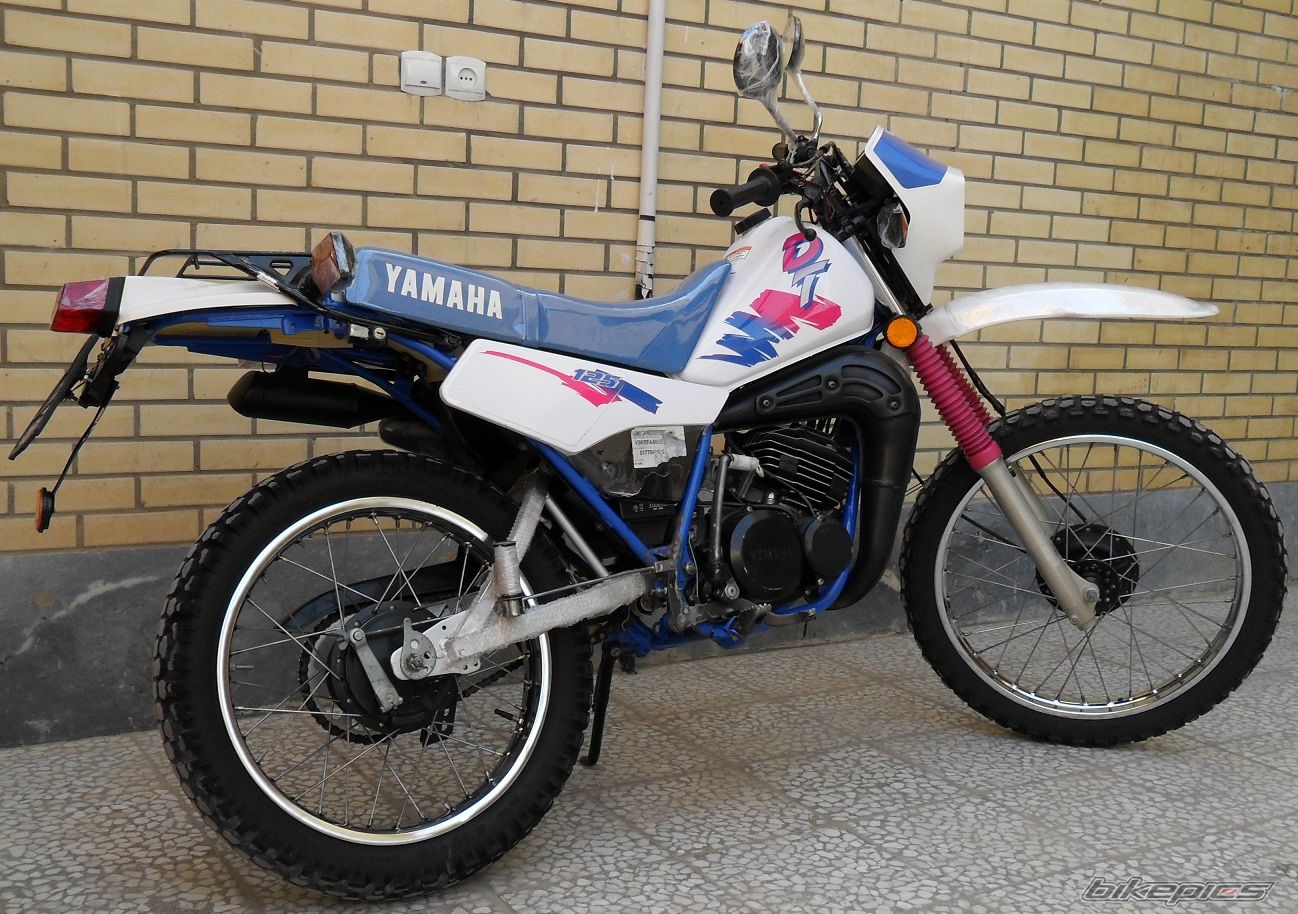 Photo 2597689
