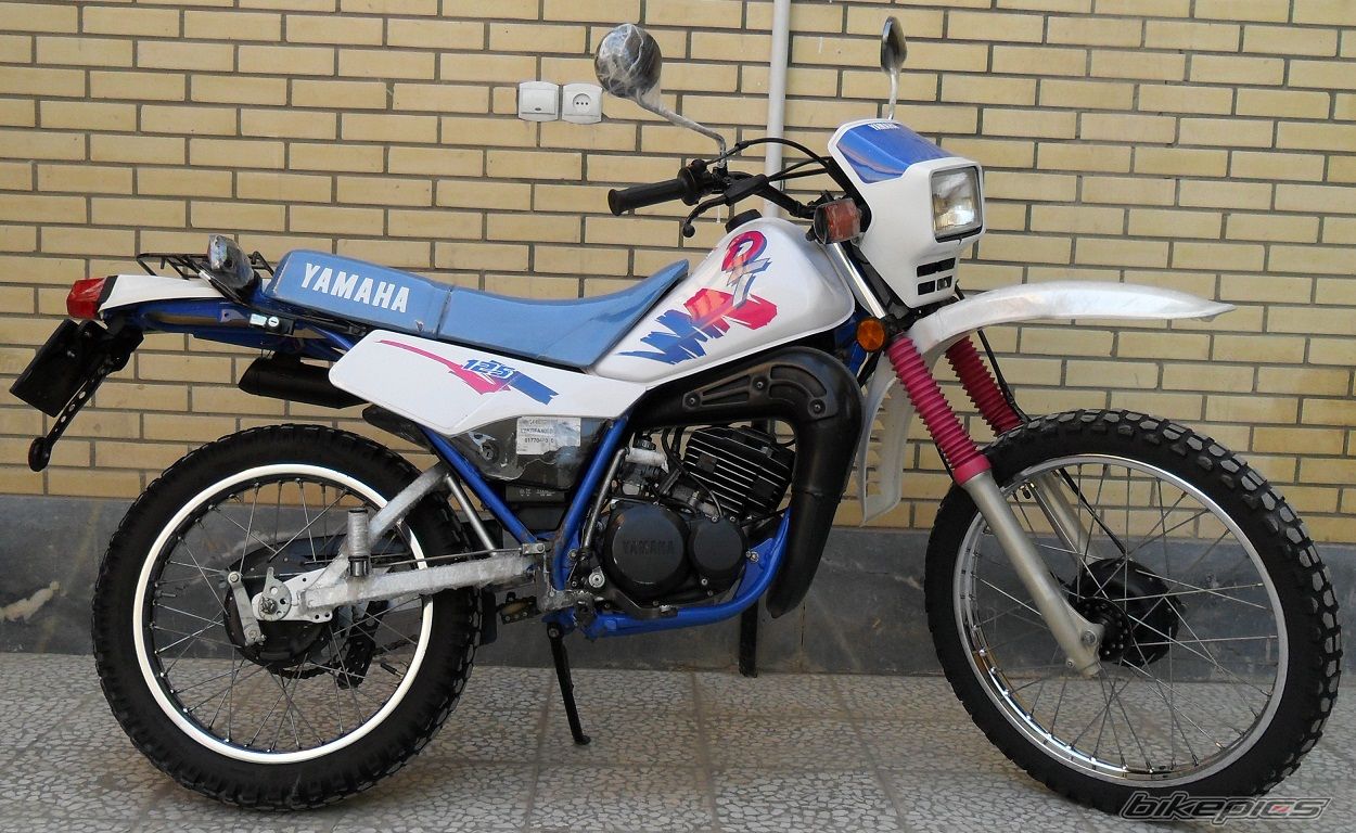 Photo 2597692