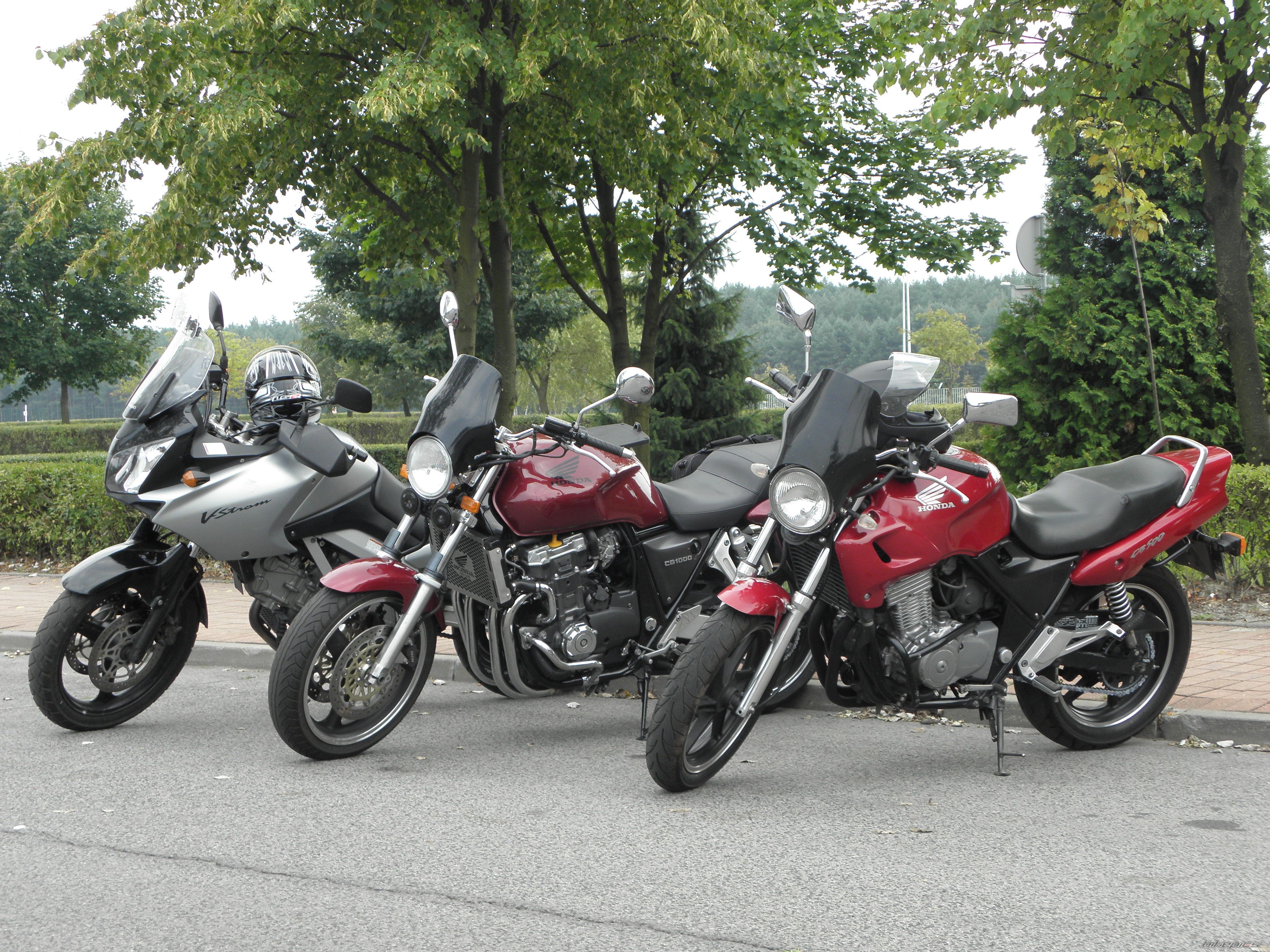 Photo 2597729