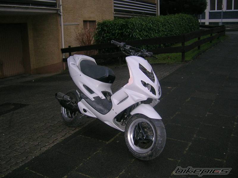 Photo 259775