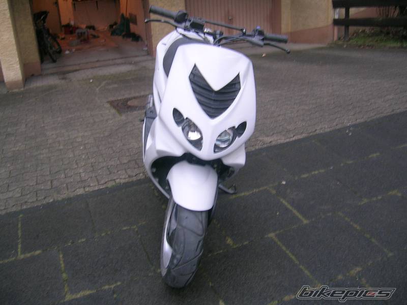 Photo 259778