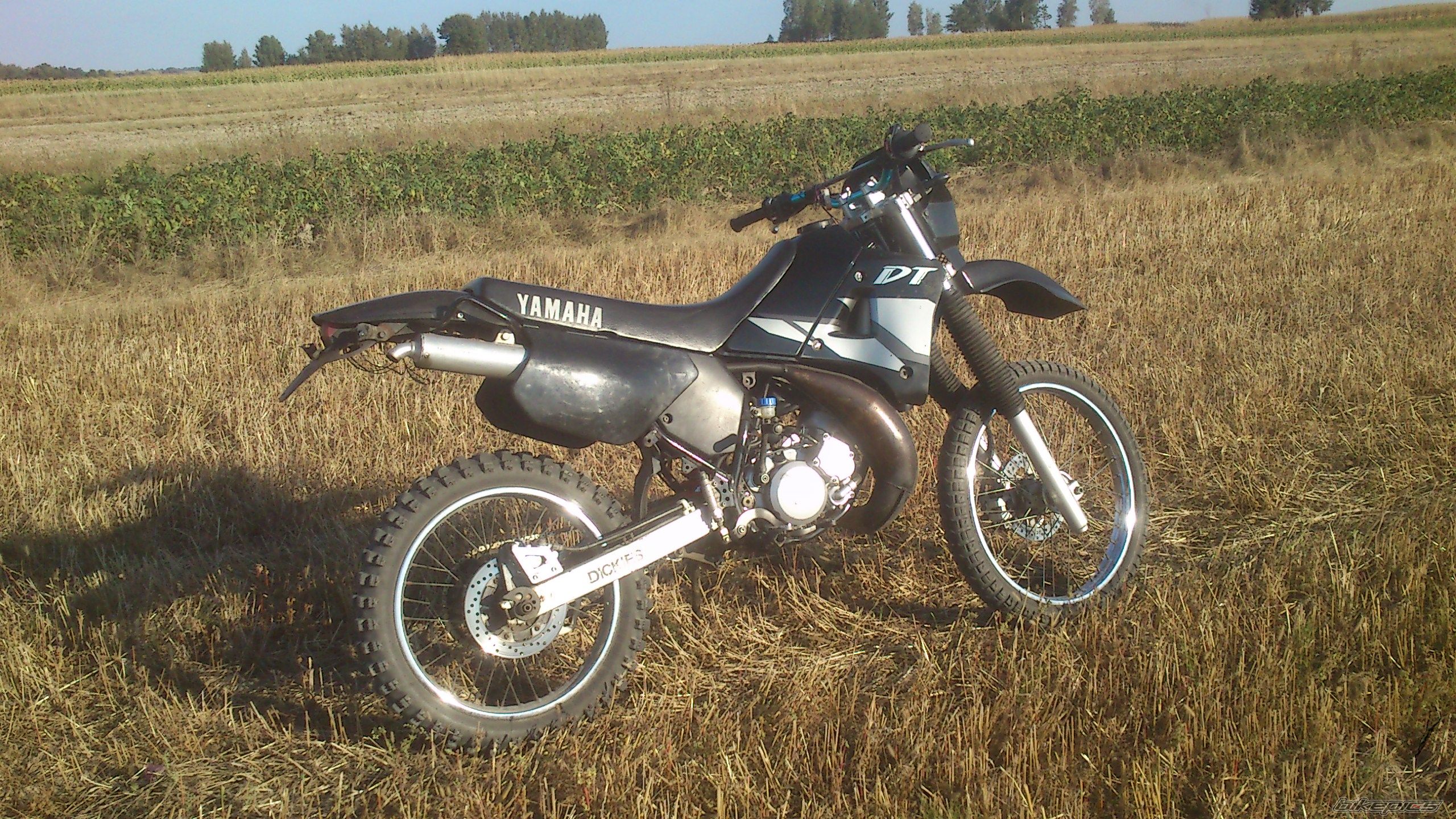 Photo 2597785