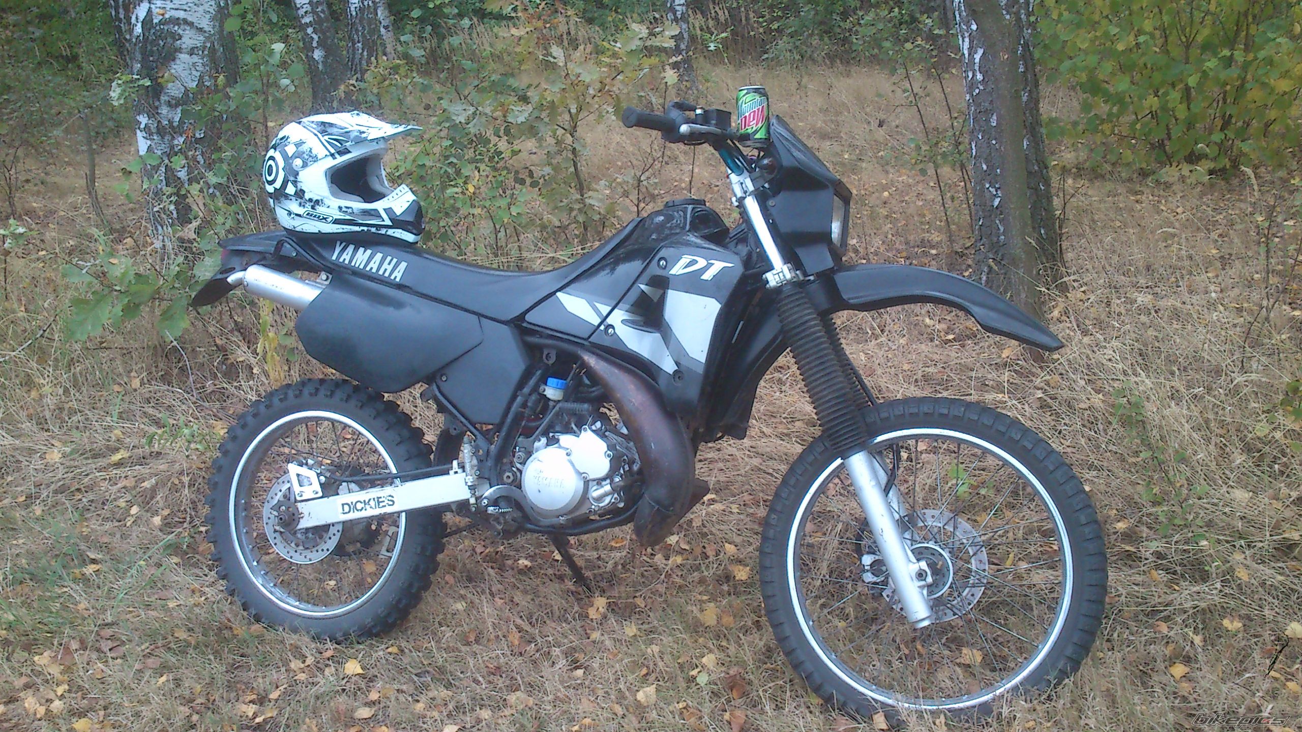Photo 2597786