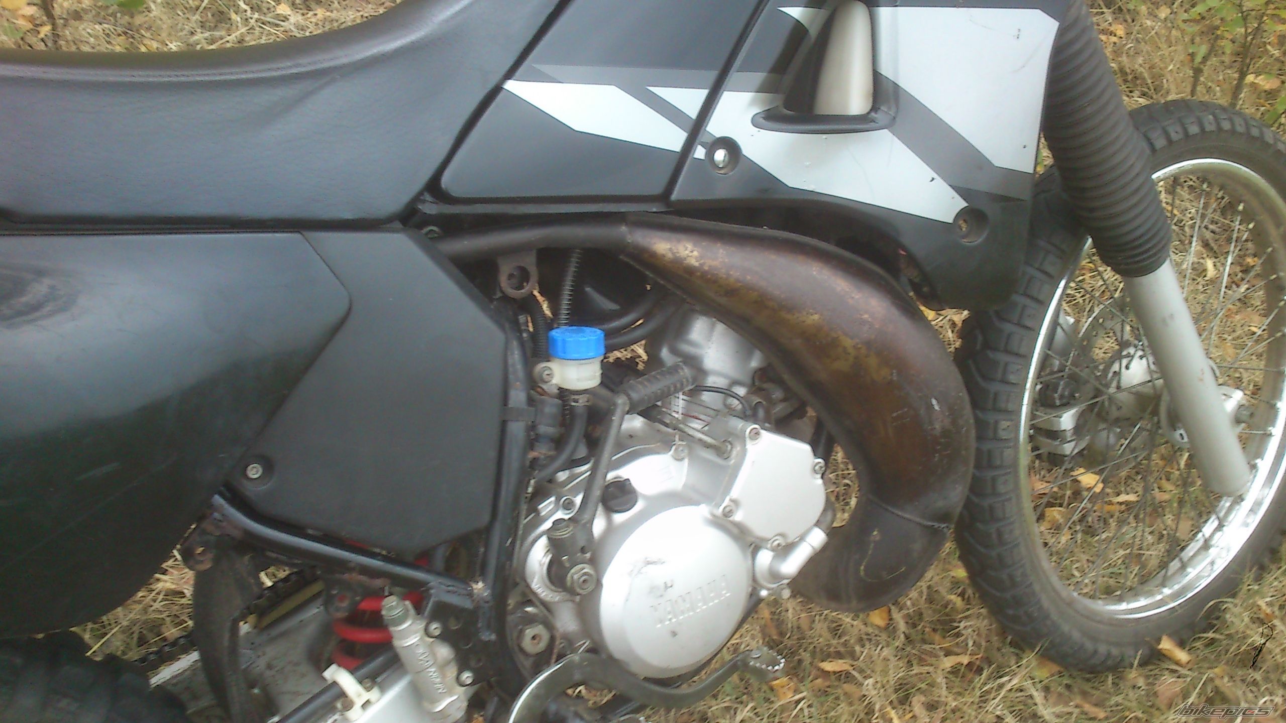 Photo 2597788