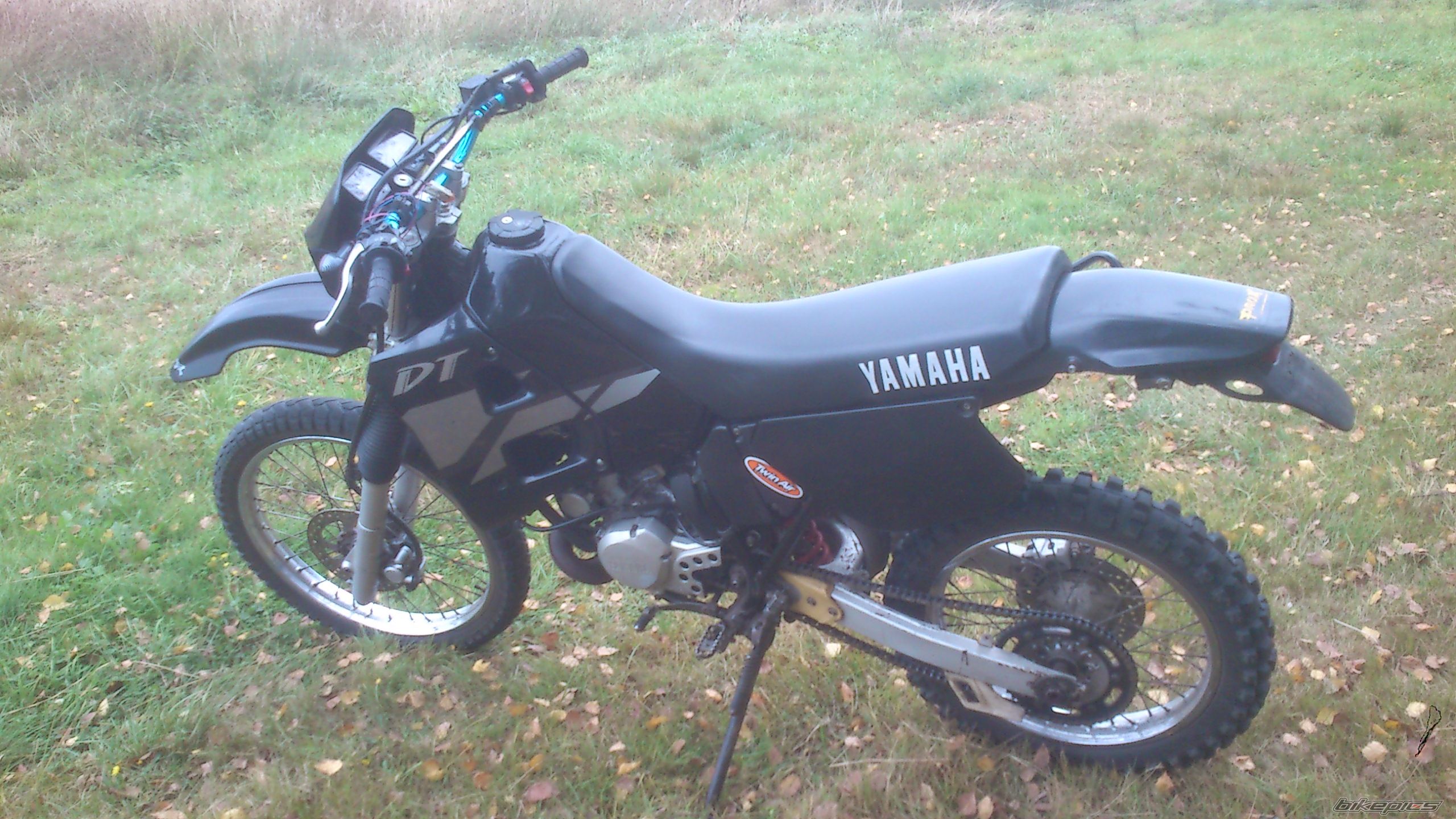 Photo 2597789