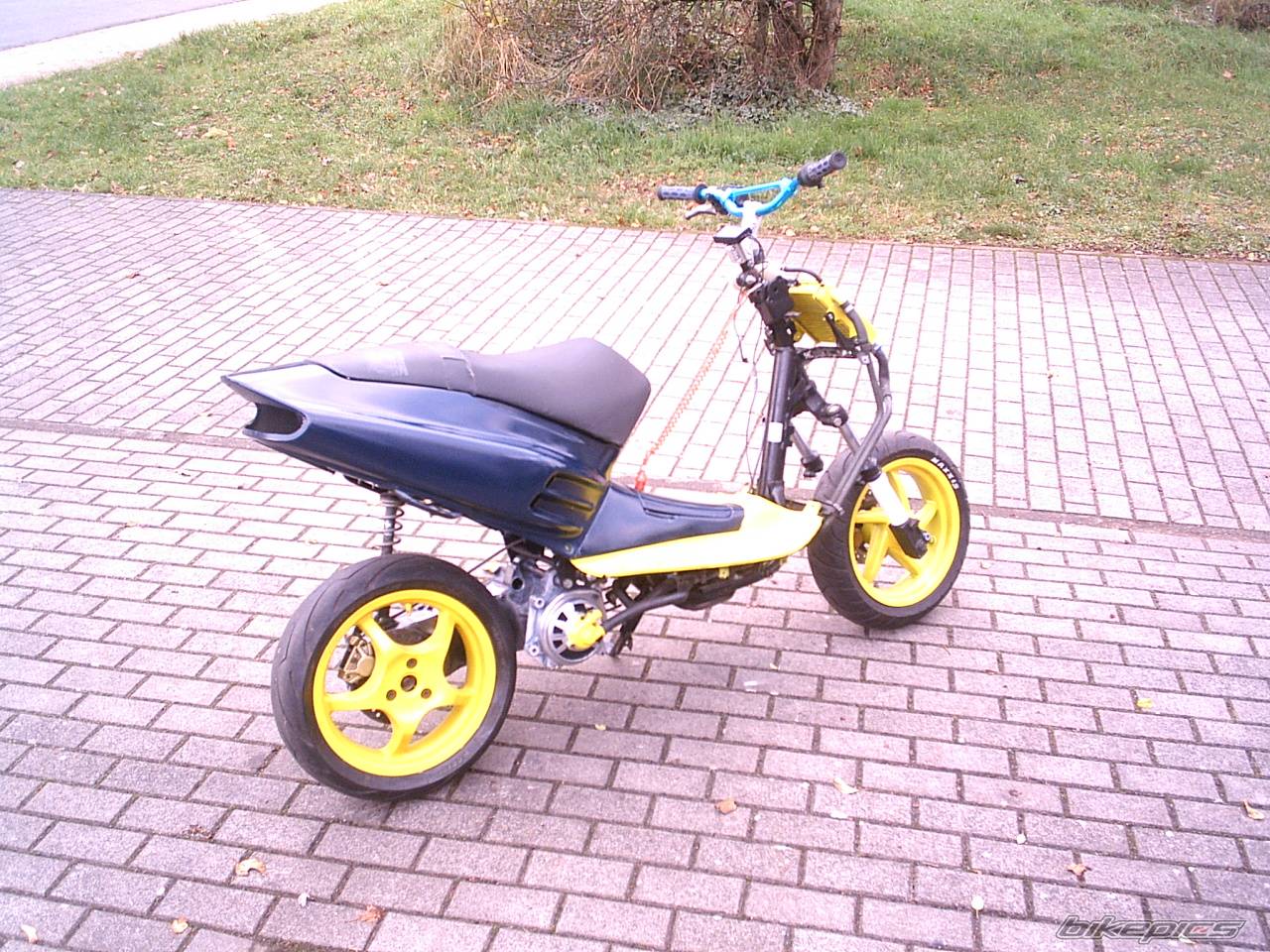 Photo 259779