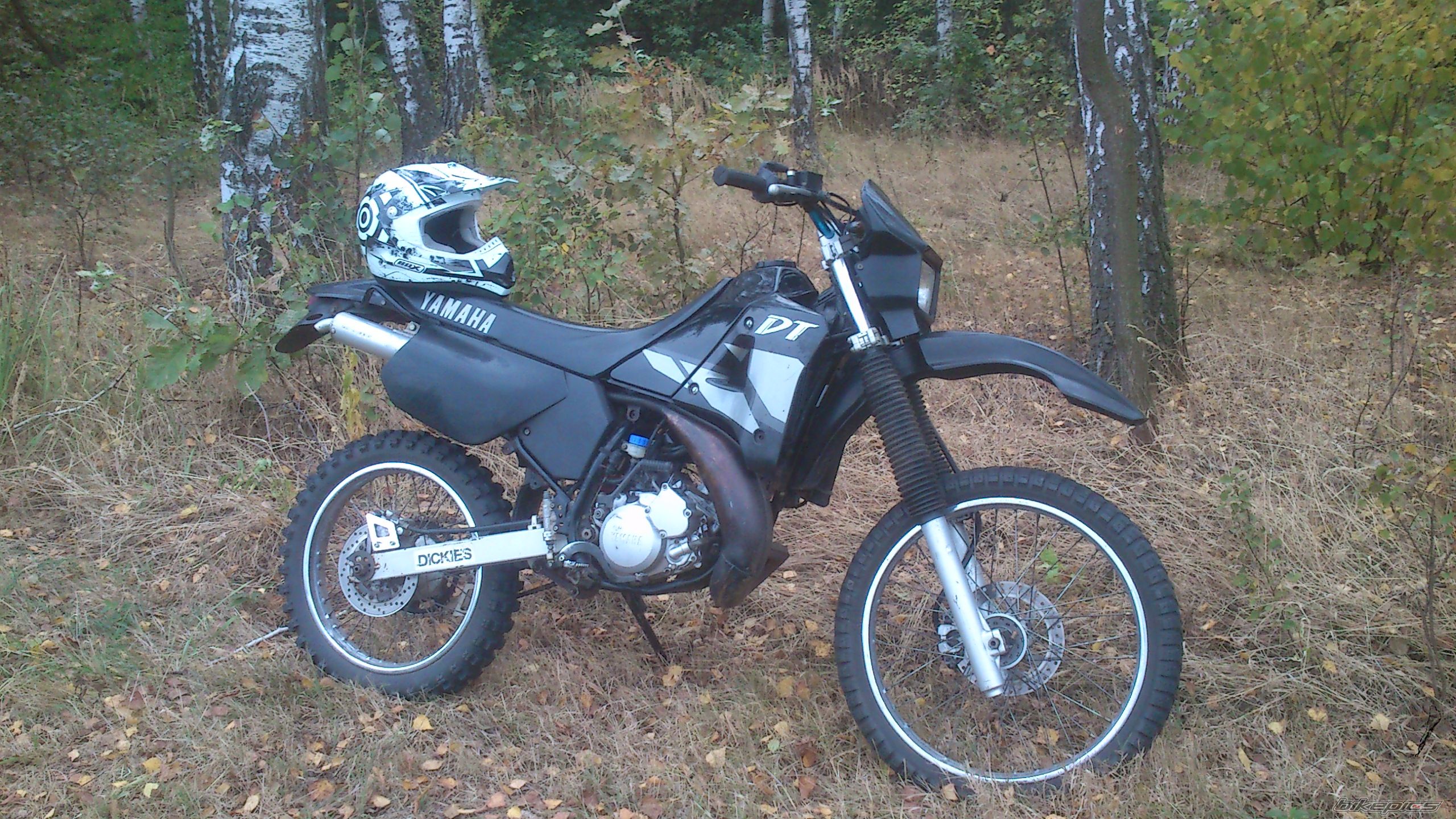 Photo 2597790
