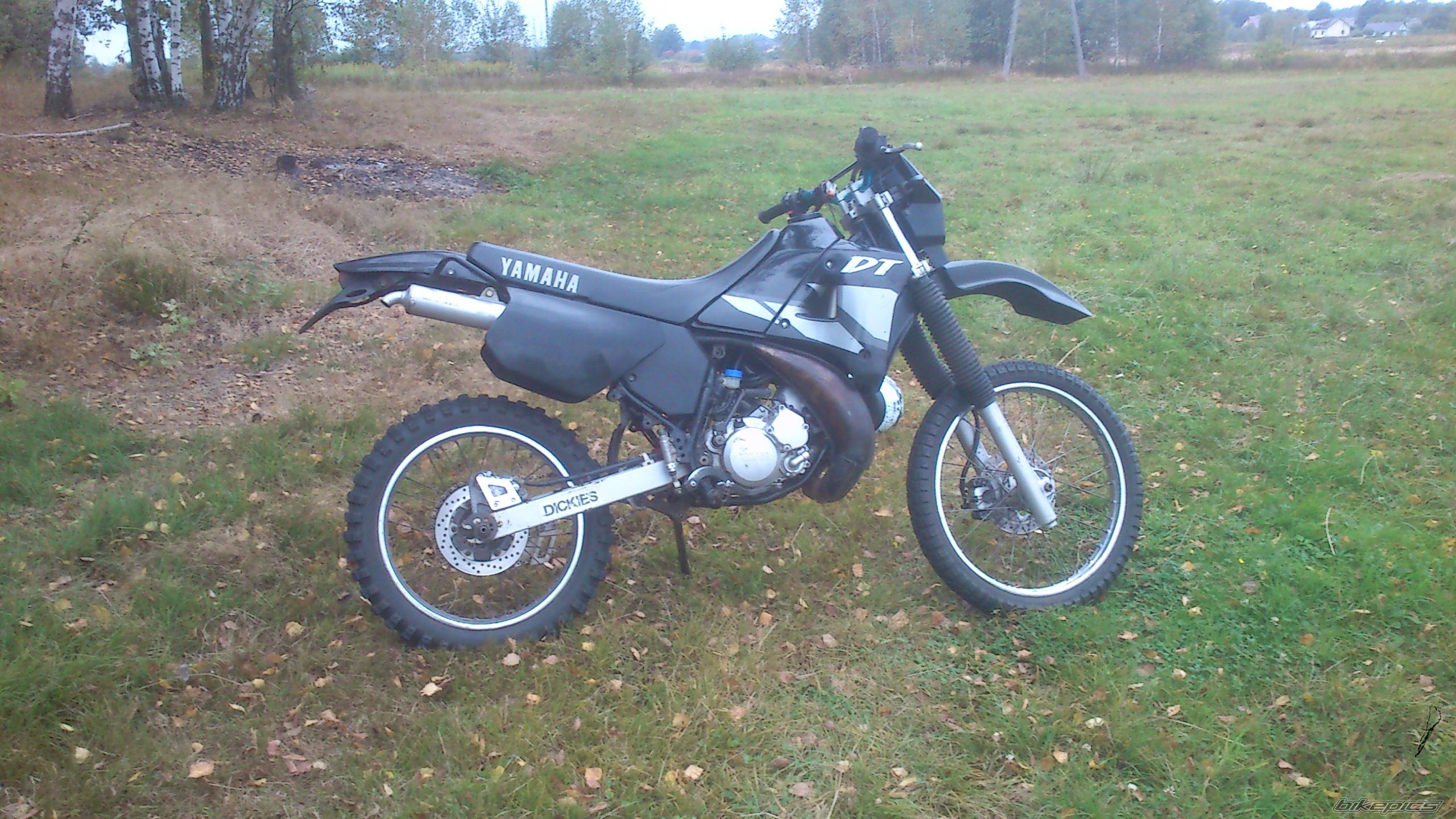 Photo 2597792