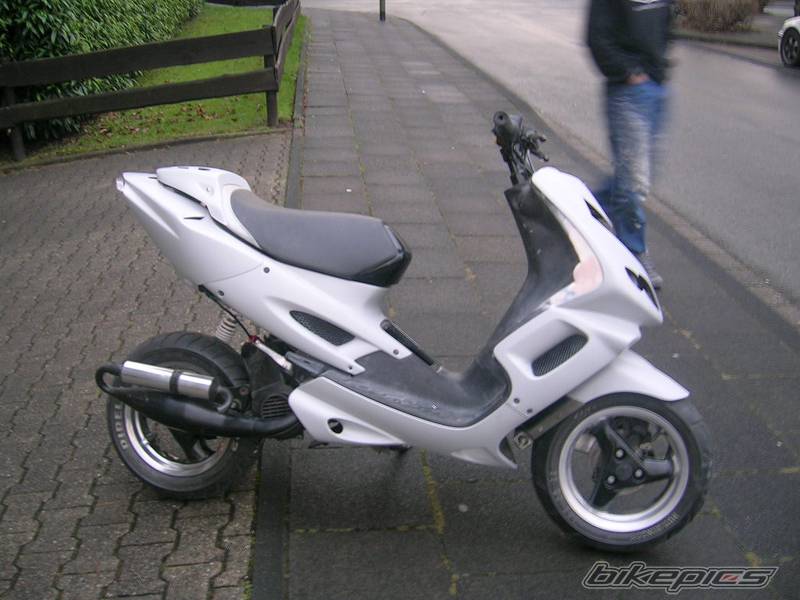 Photo 259780