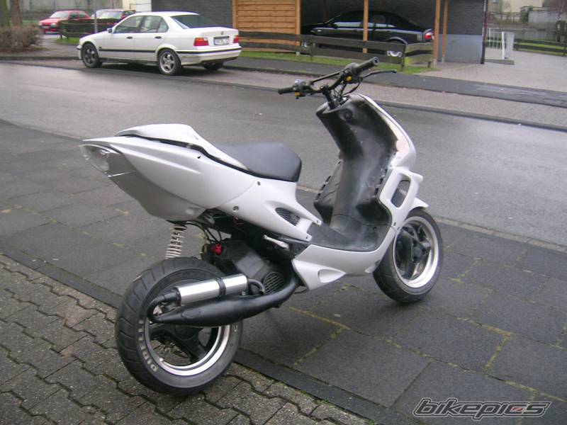 Photo 259781