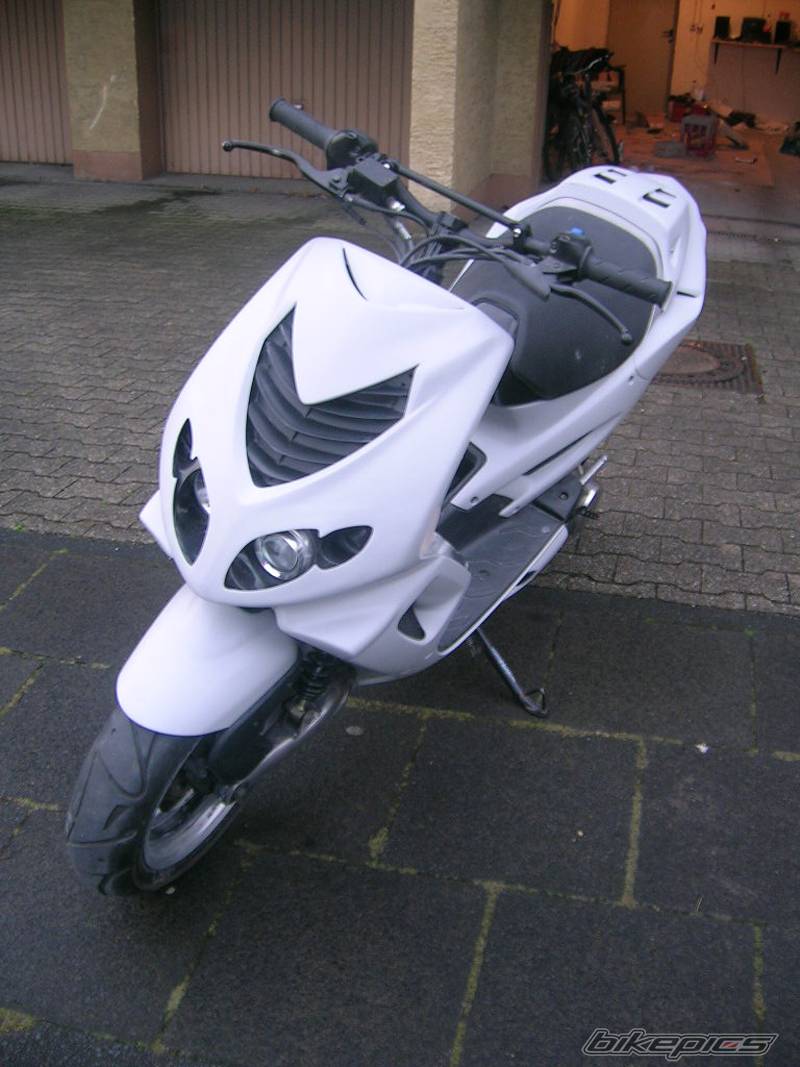Photo 259782