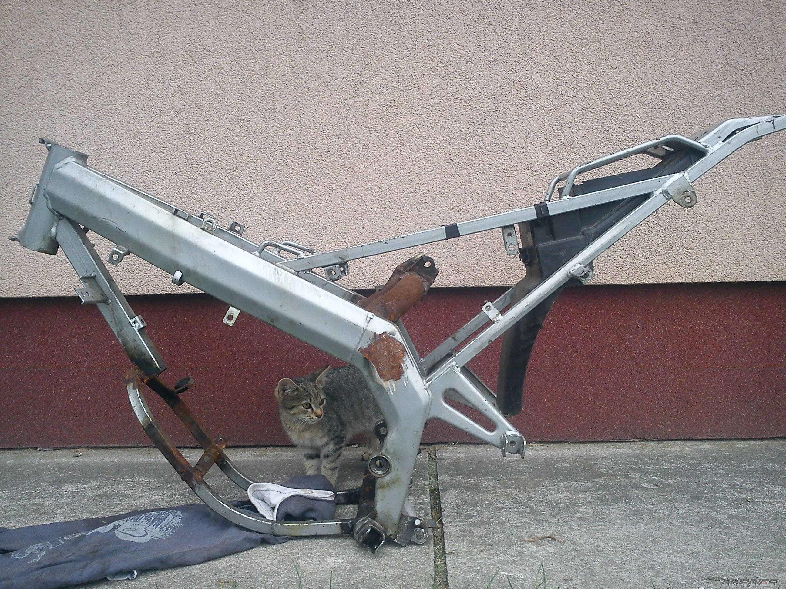 Photo 2597828