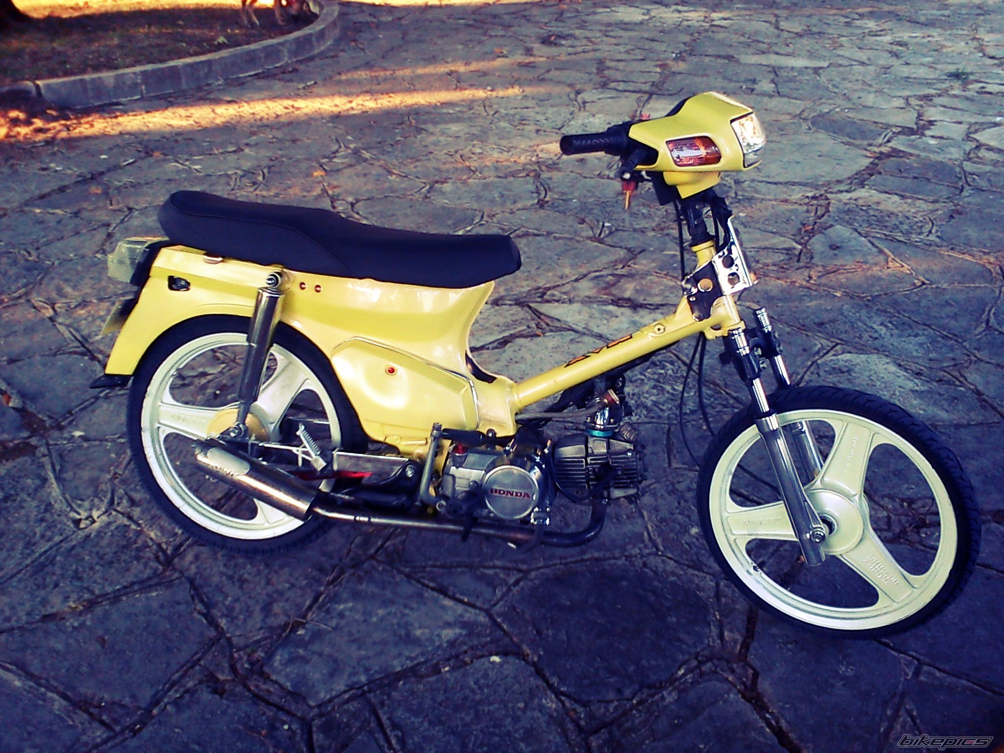 Photo 2597836