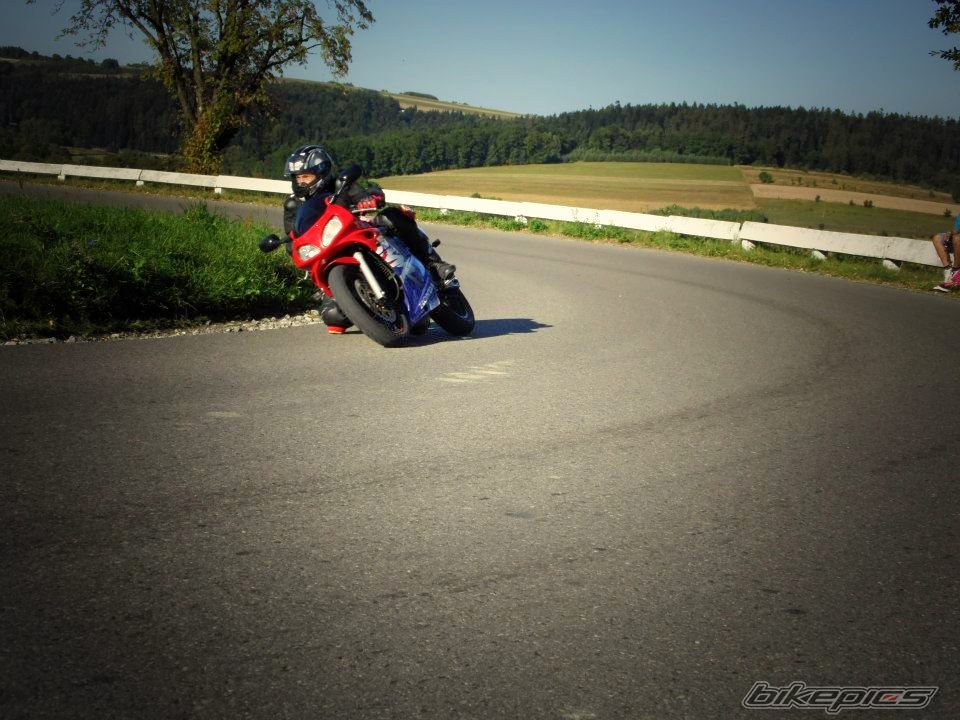 Photo 2597873