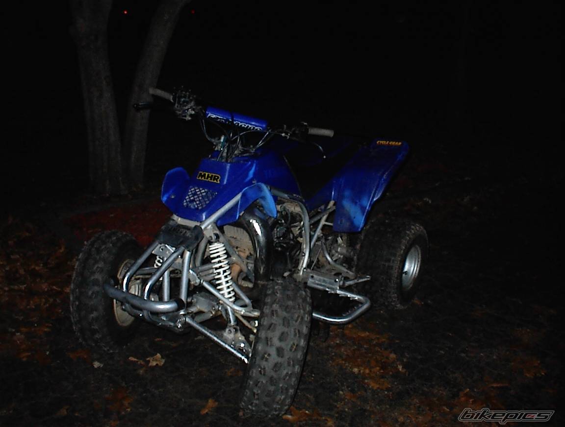 Photo 259788