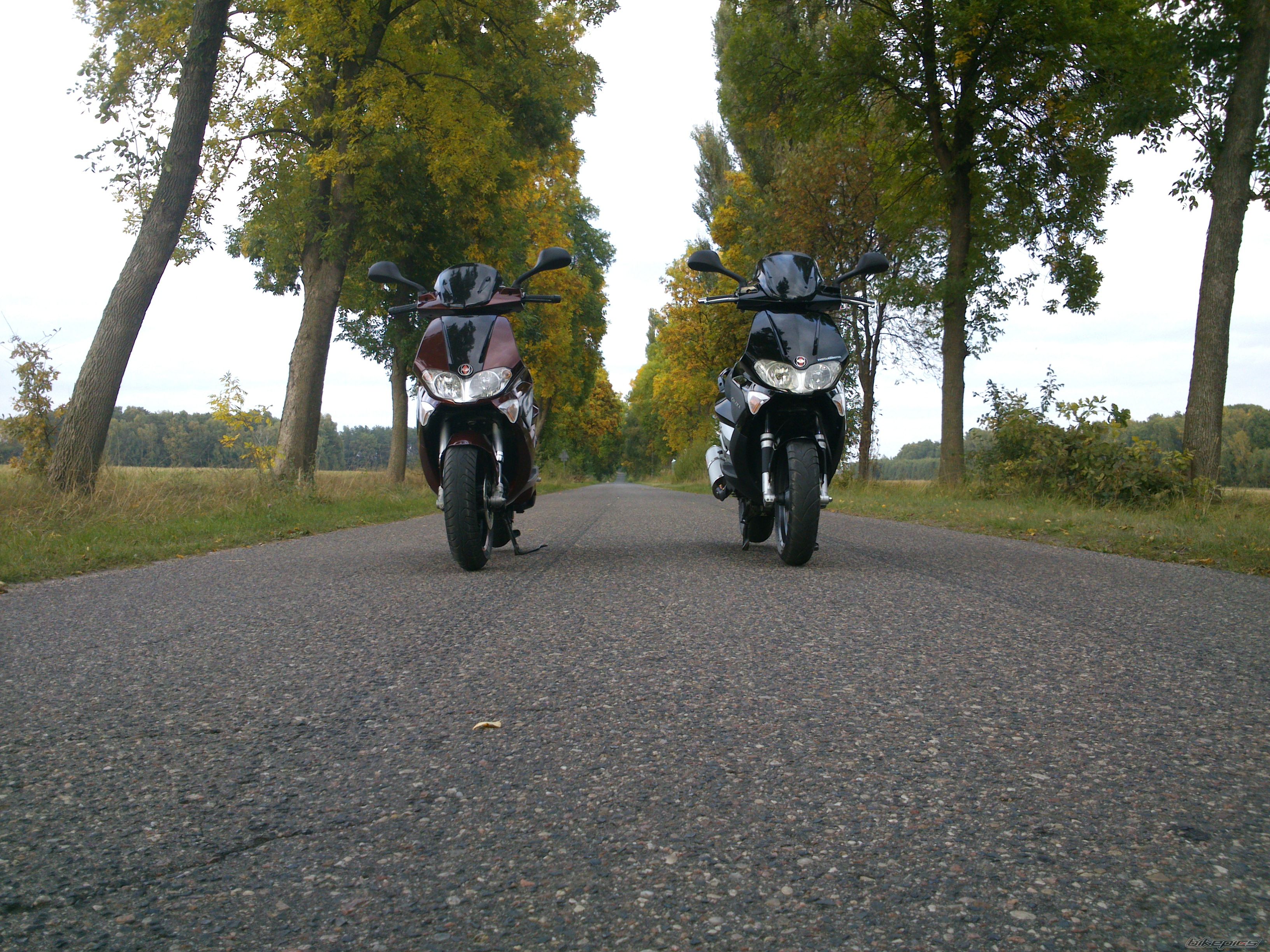 Photo 2597883