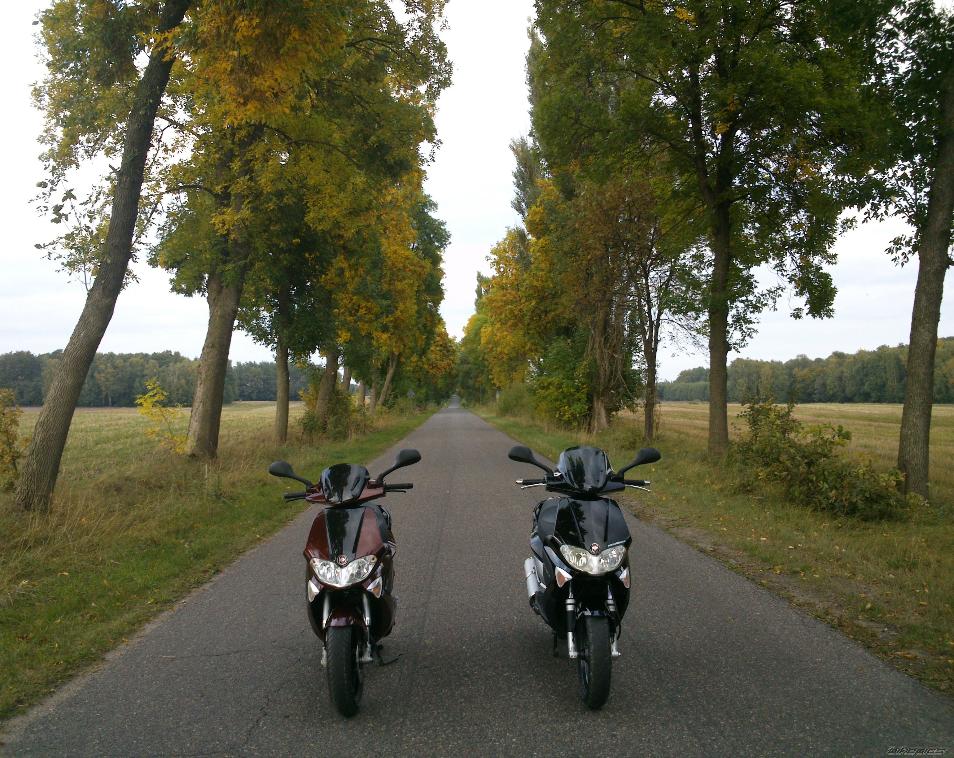 Photo 2597890