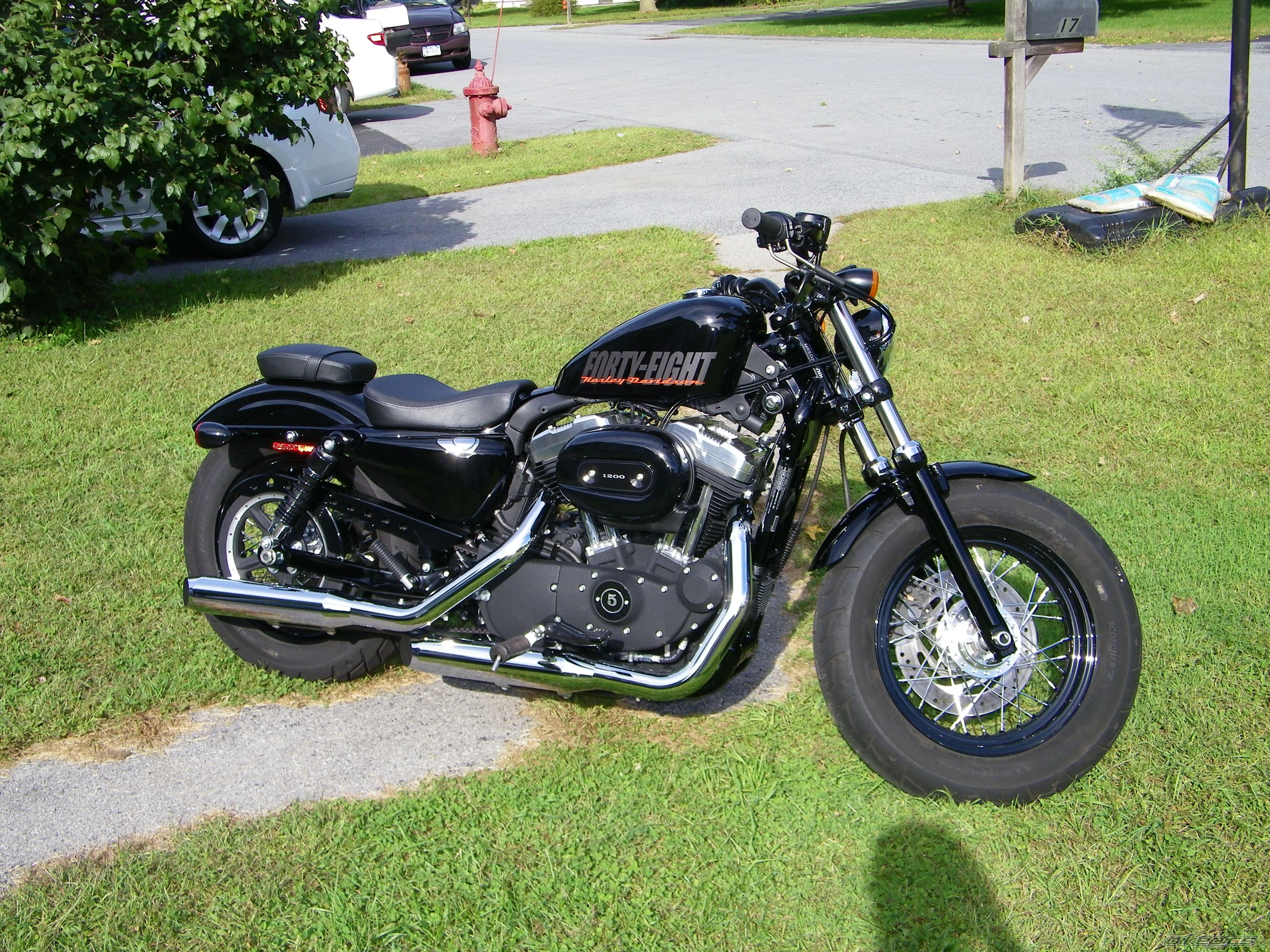 Photo 2597917