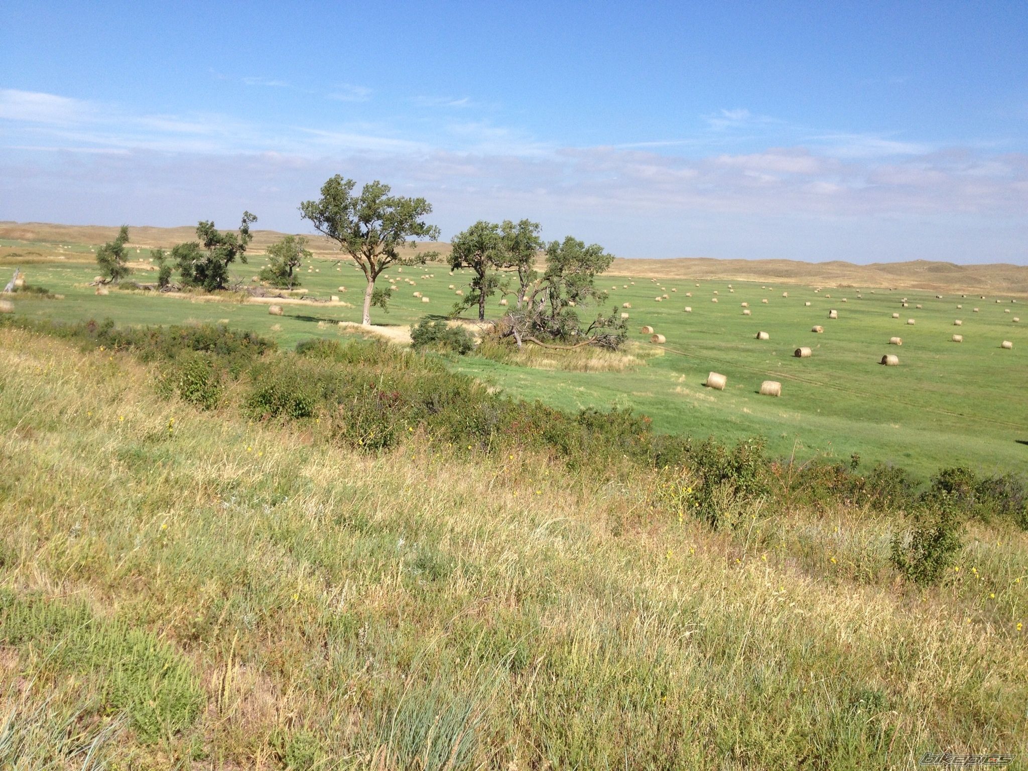 Photo 2597931