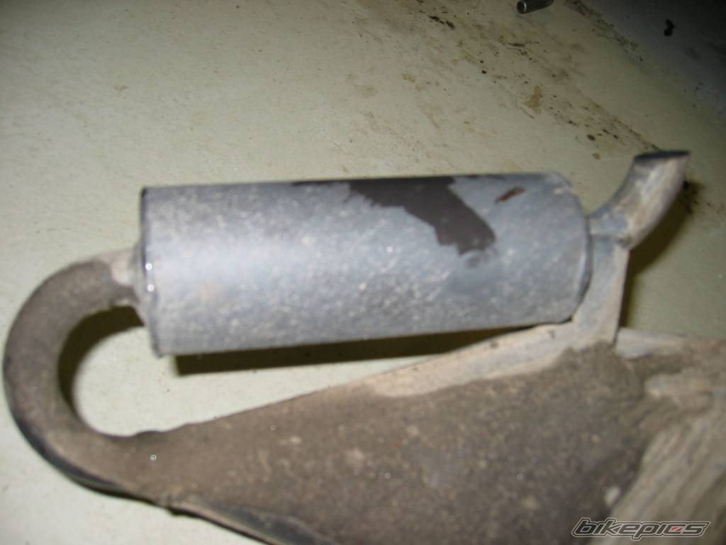 Photo 259794