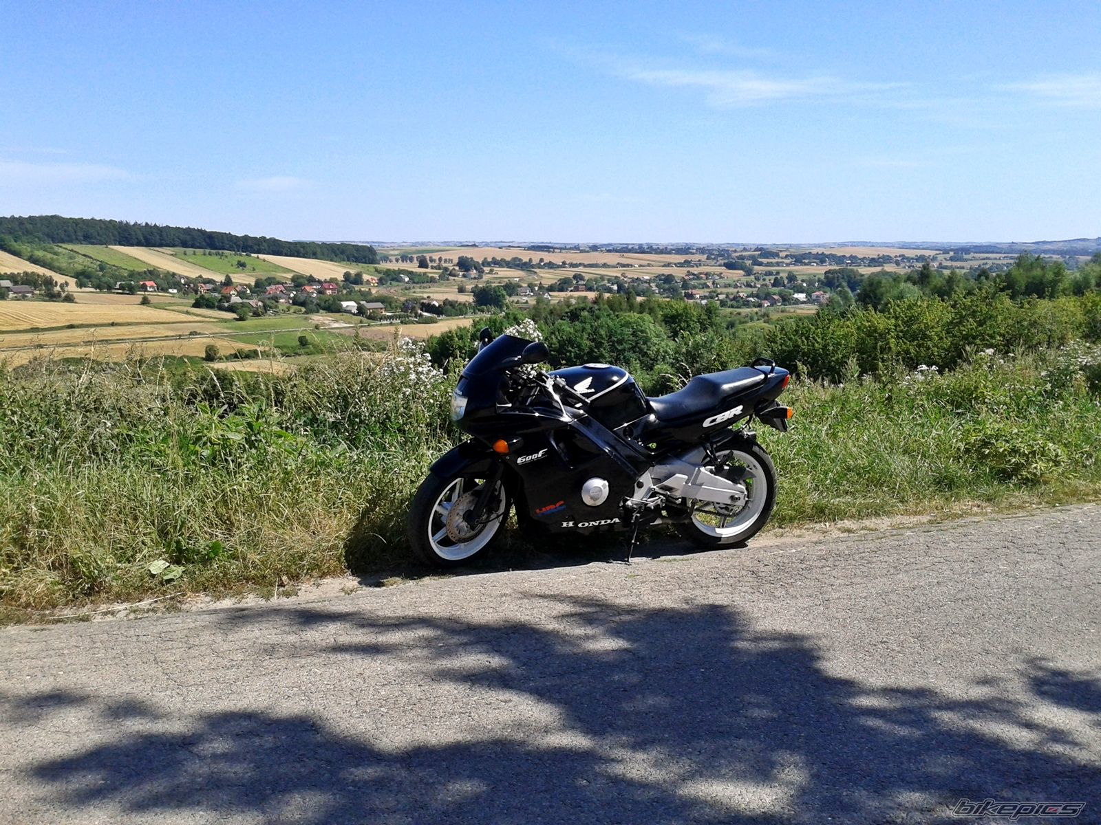 Photo 2598004