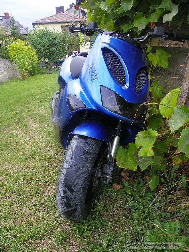 Photo 2598045