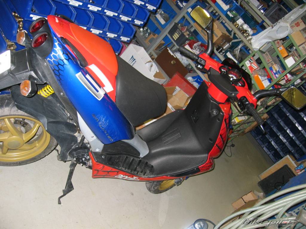 Photo 259808