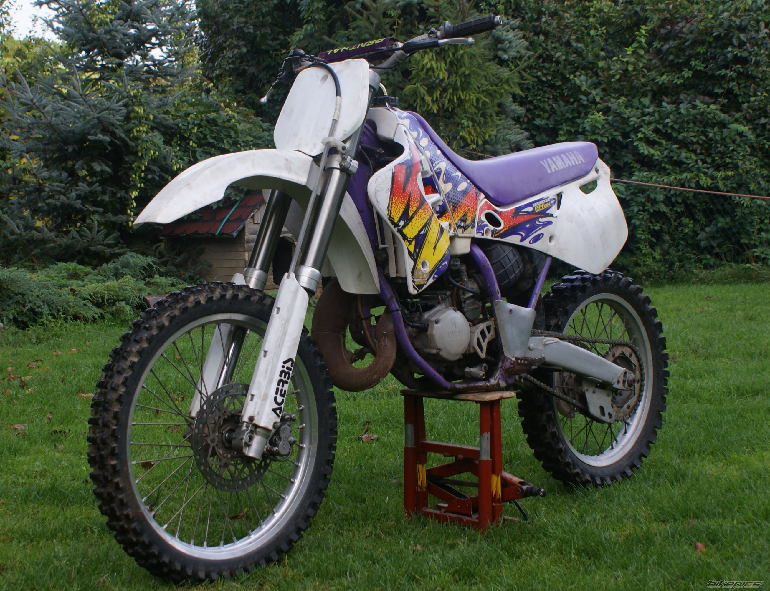Photo 2598088