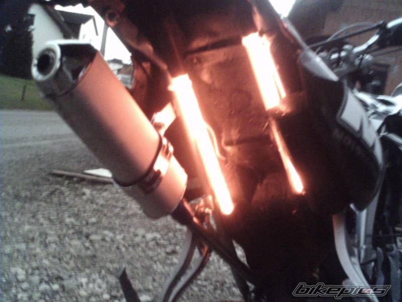 Photo 259819