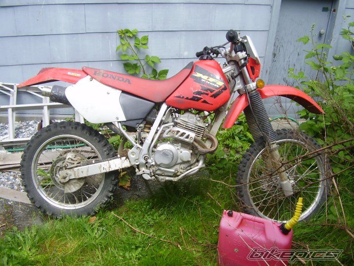 Photo 2598193