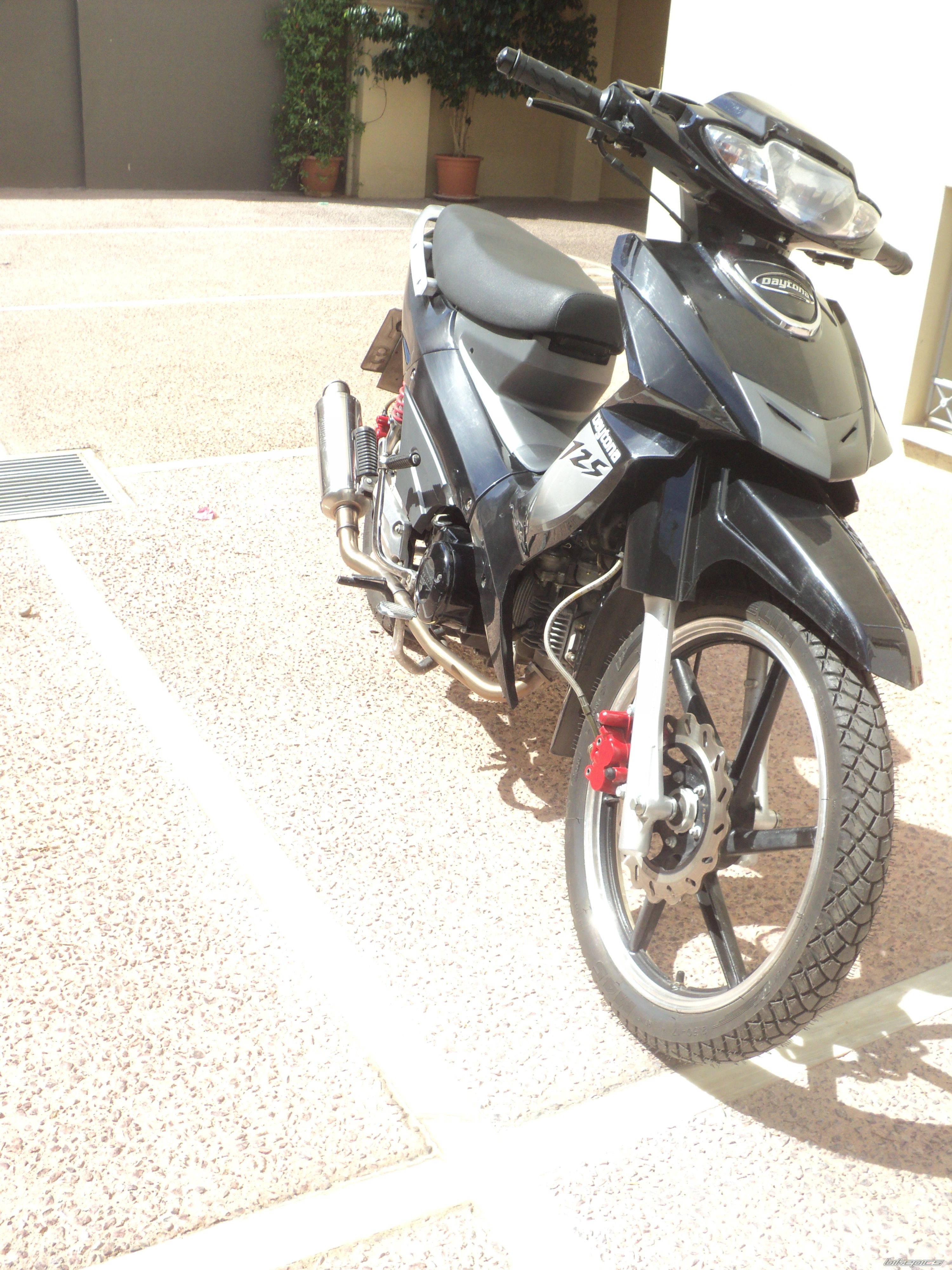 Photo 2598242