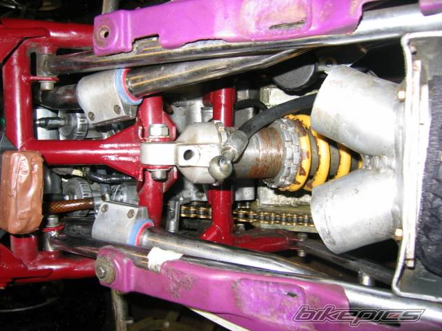 Photo 259827