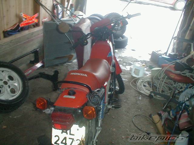 Bike Photo 259832