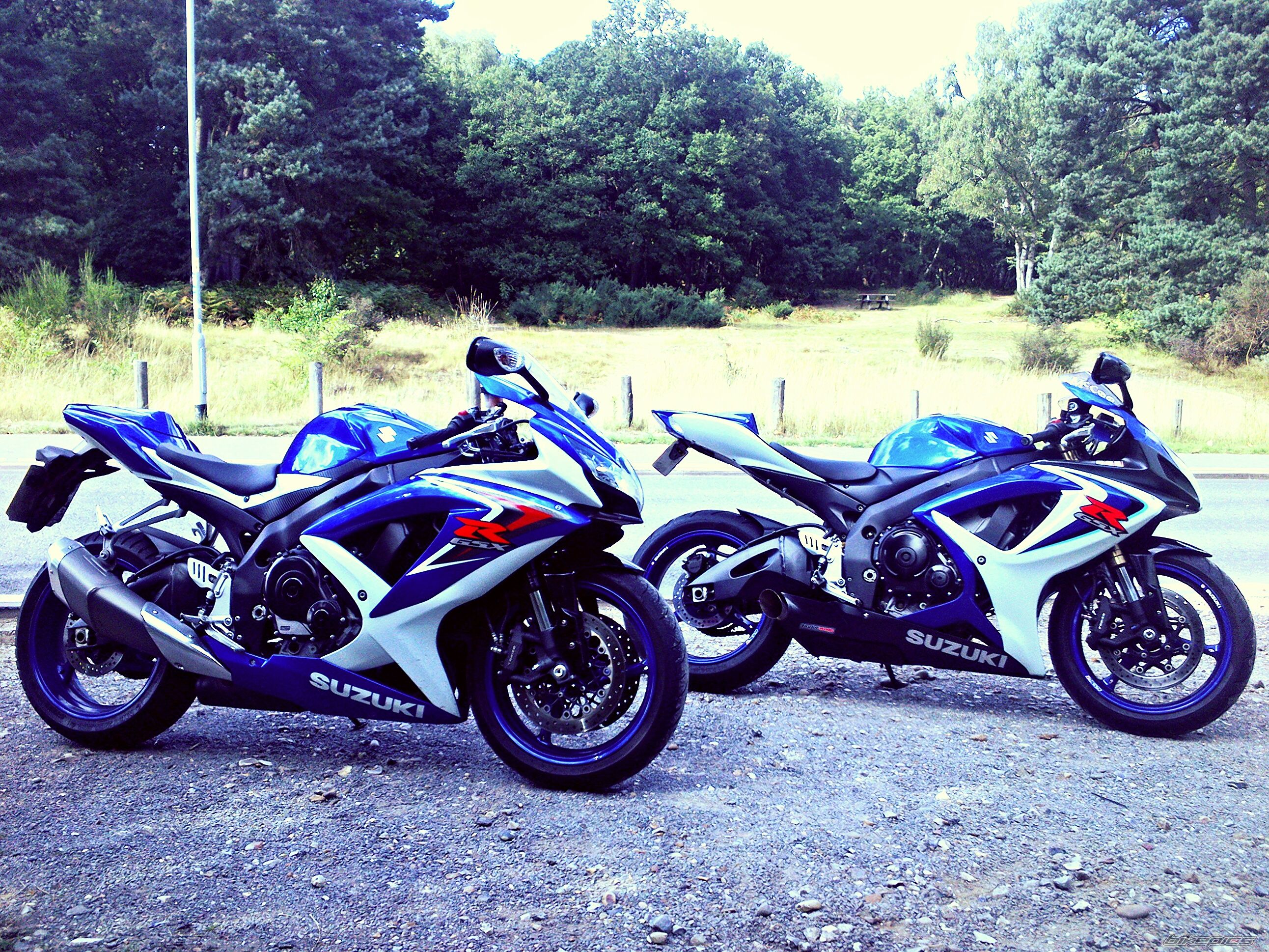 Photo 2598365