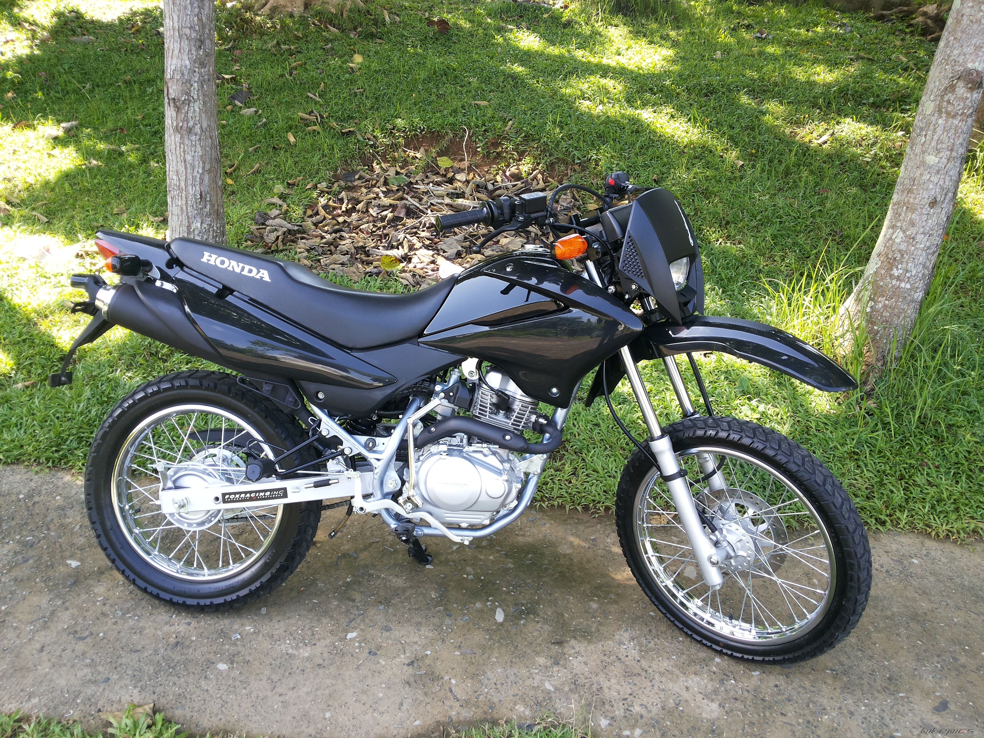 Photo 2598403