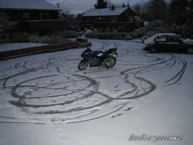 Photo 259844