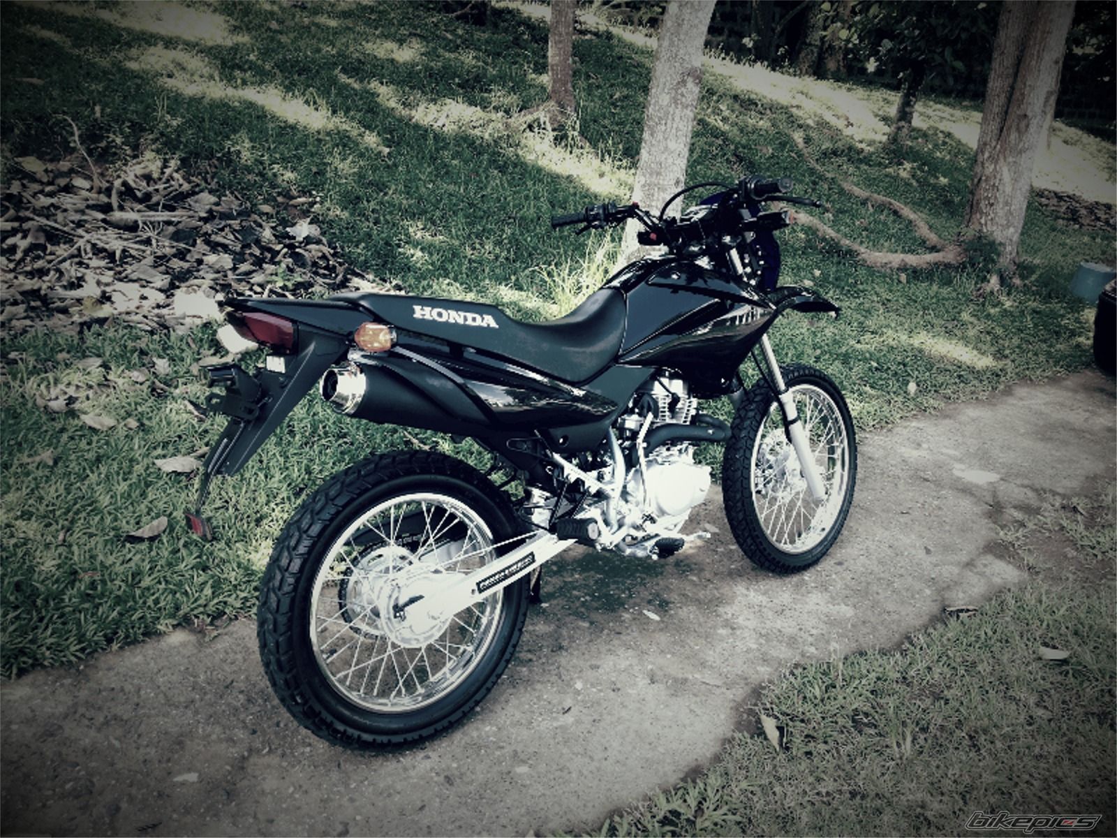 Photo 2598459