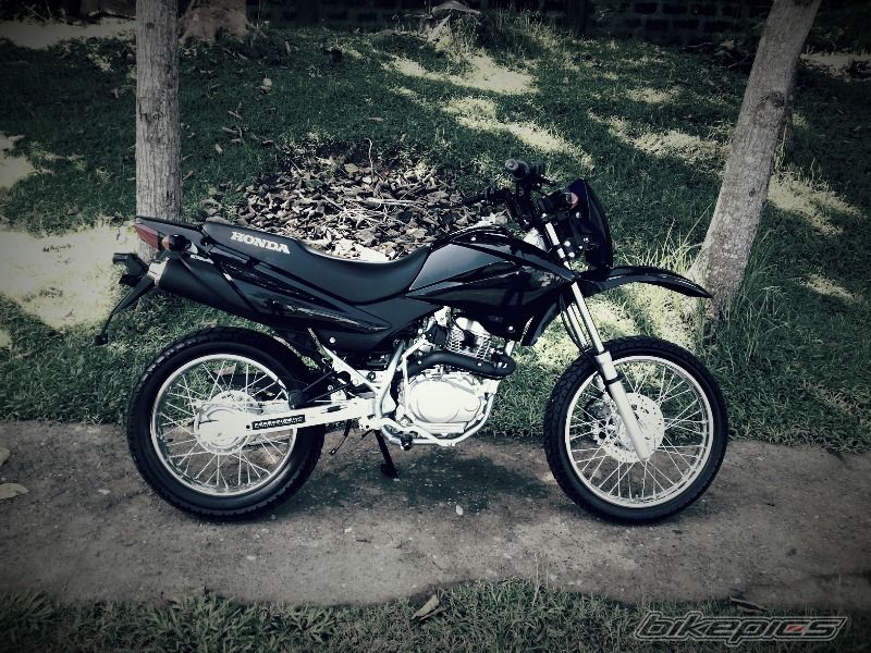 Photo 2598463