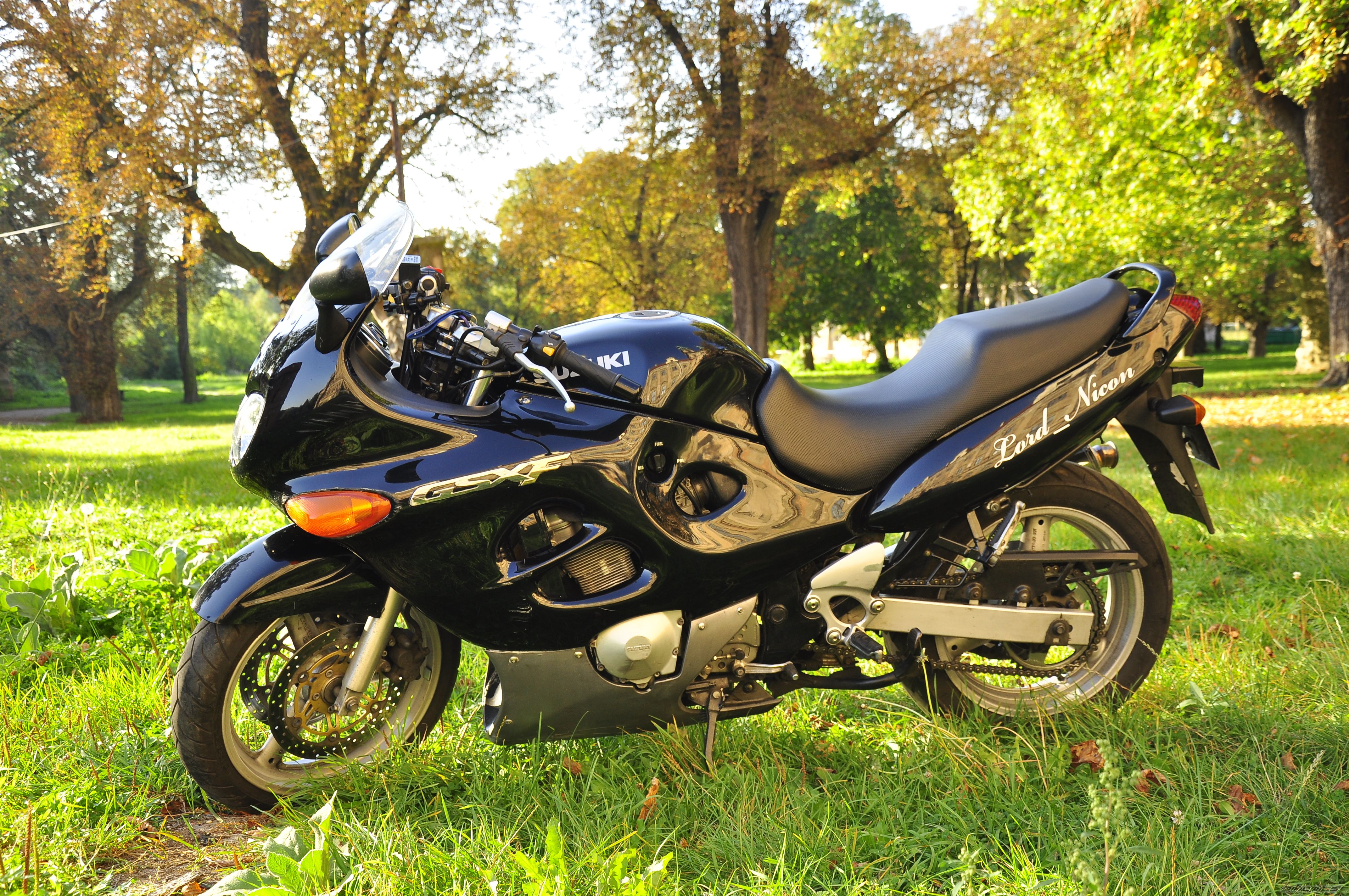 Photo 2598850