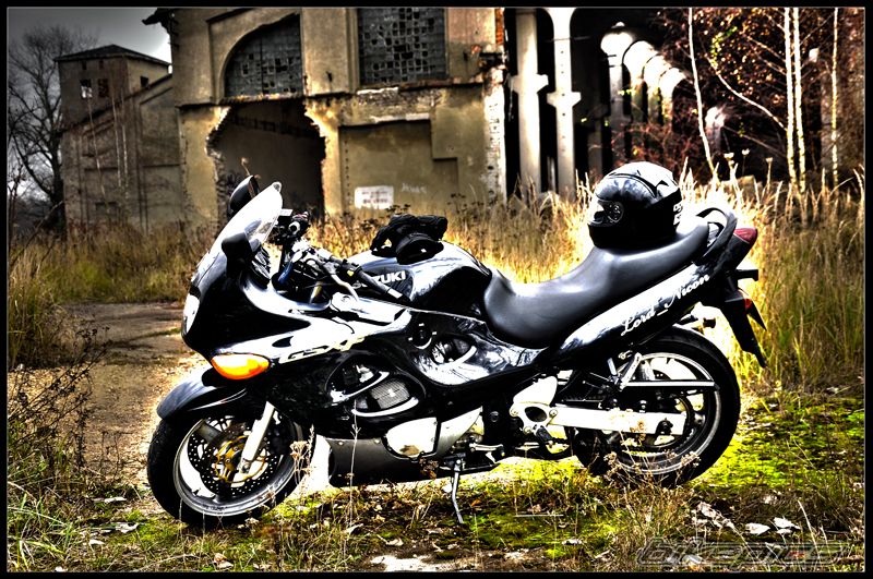 Photo 2598859