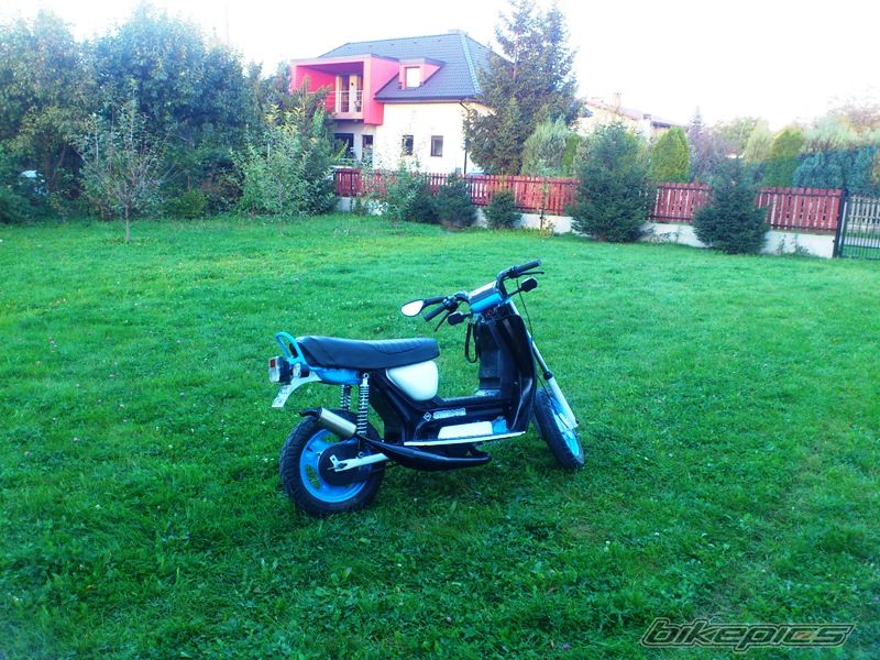 Photo 2598894
