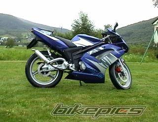 Photo 259890