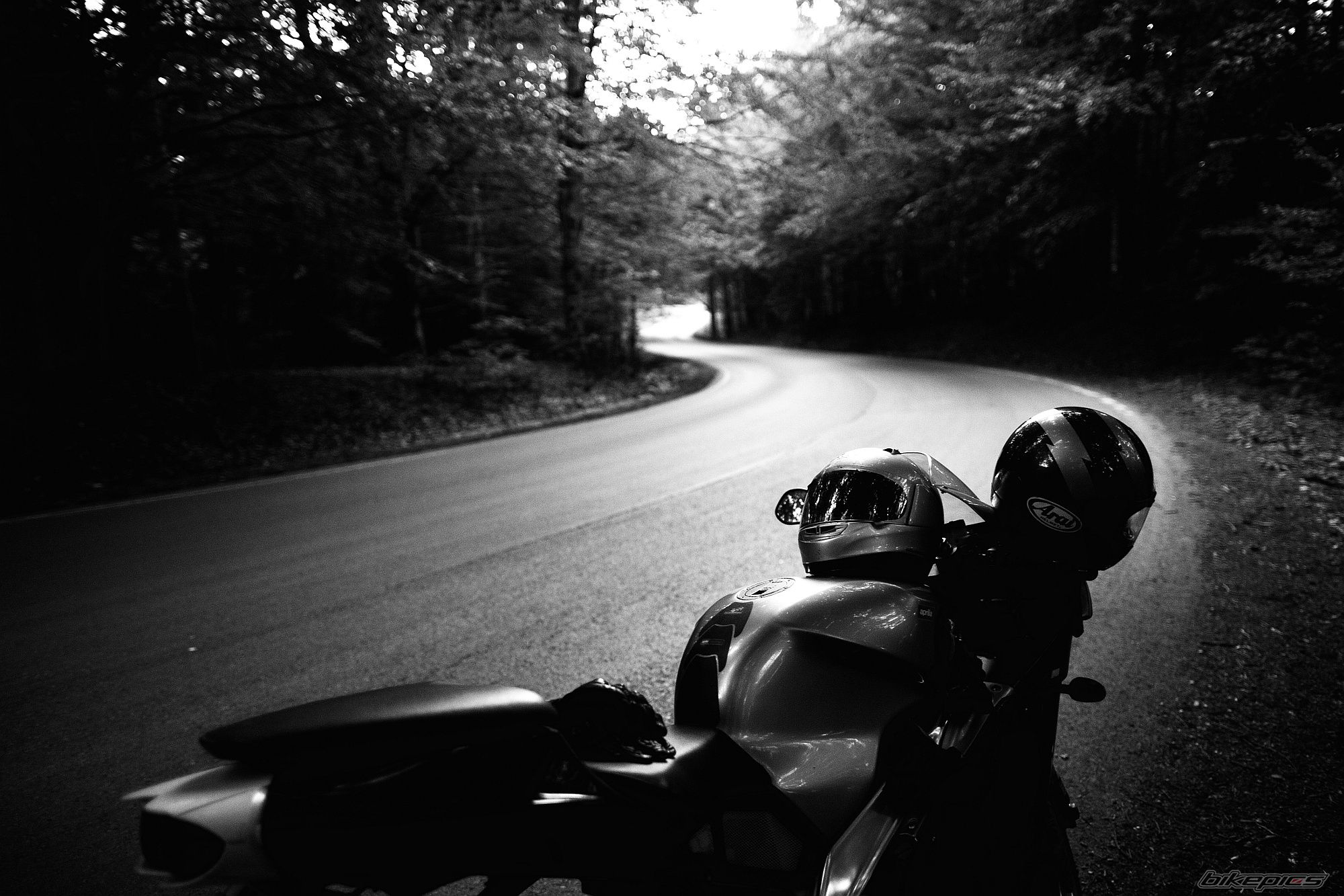 Photo 2598907