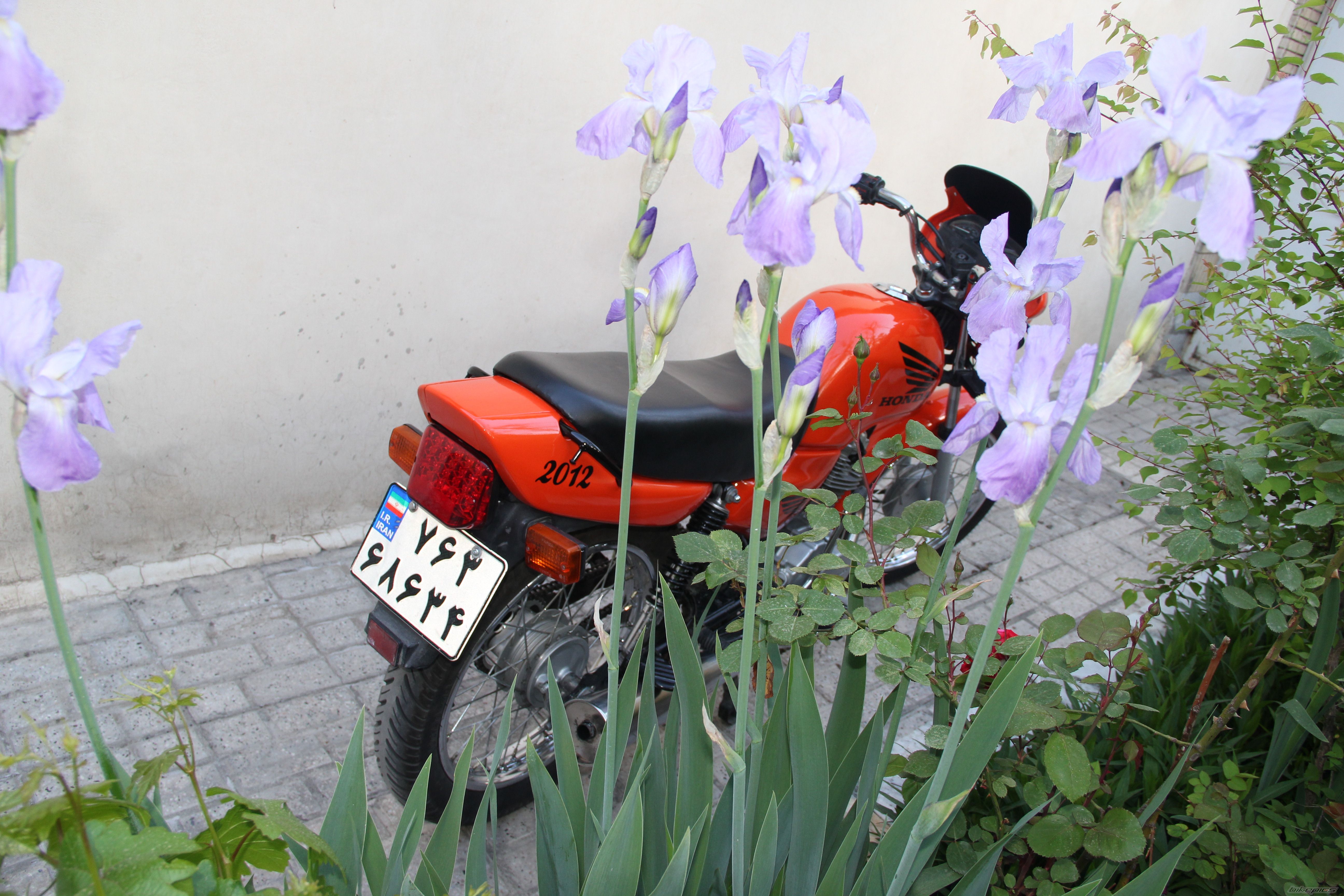 Bike Photo 2598913
