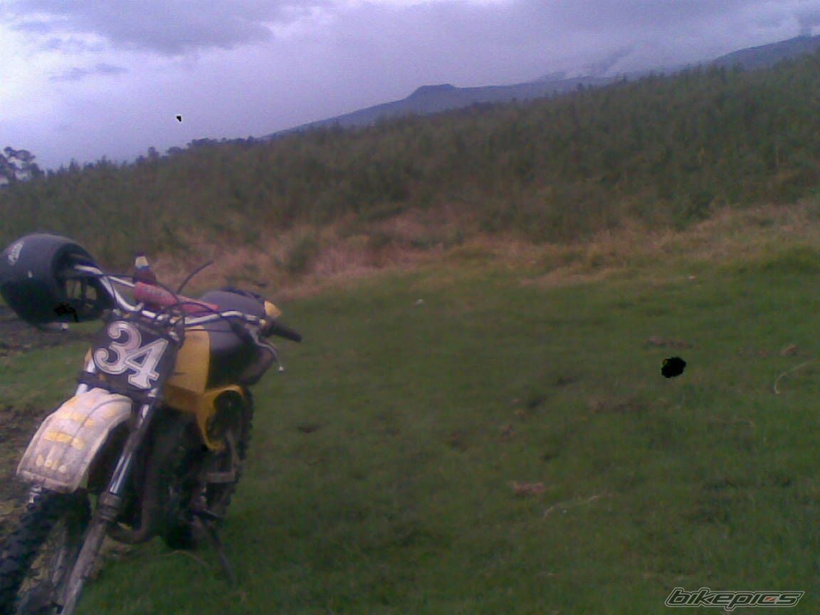 Photo 2598930