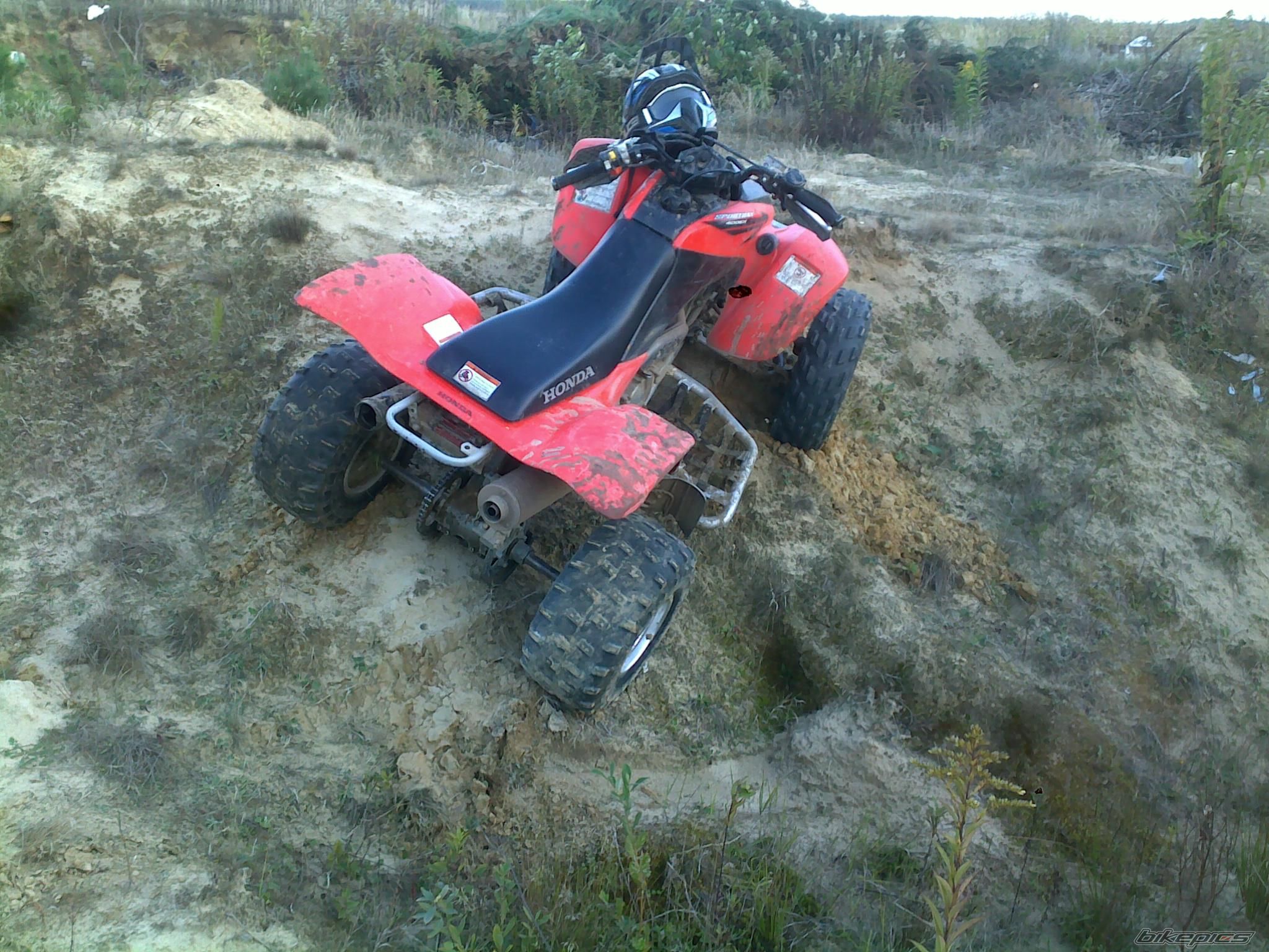Photo 2599104