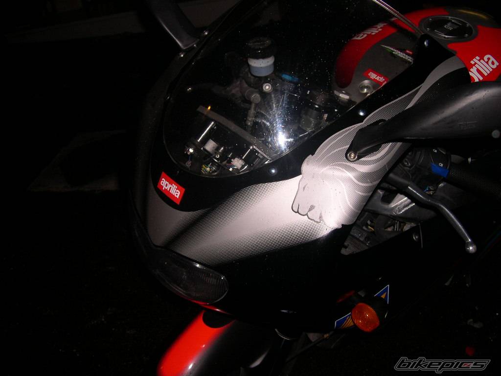 Photo 259913