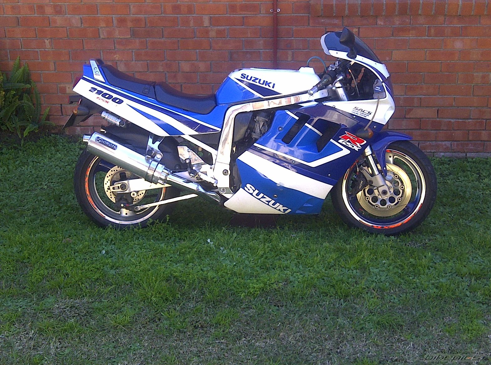 Photo 2599251